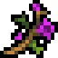 Grotwort m.png