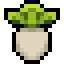 Leaky Leek