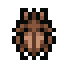 Bug Carcass