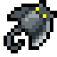 Manta Ray