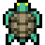 Sea Turtle
