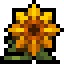 Sunspore